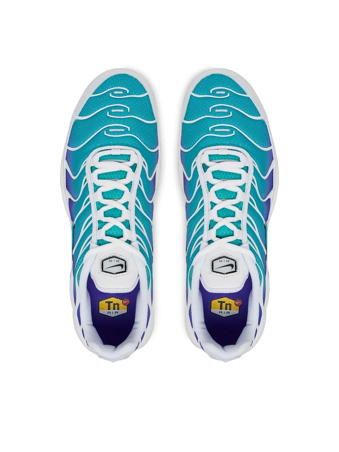 Nike Air Max Plus Aqua DM0032-102