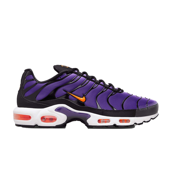 Nike Air Max Plus Voltage Purple DX0755-500