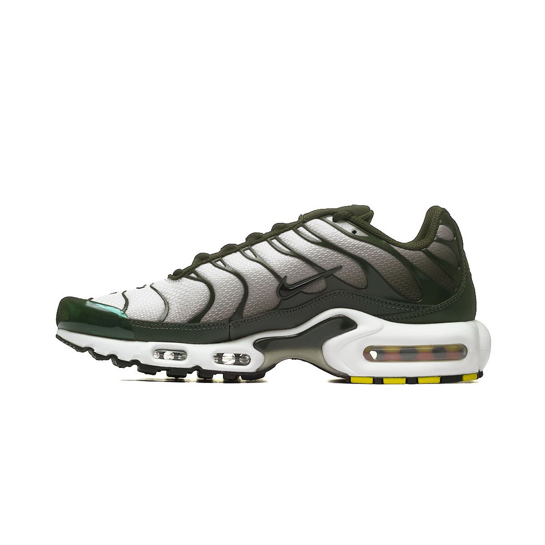 Nike Air Max Plus Sequoia Cargo Khaki DM0032-300