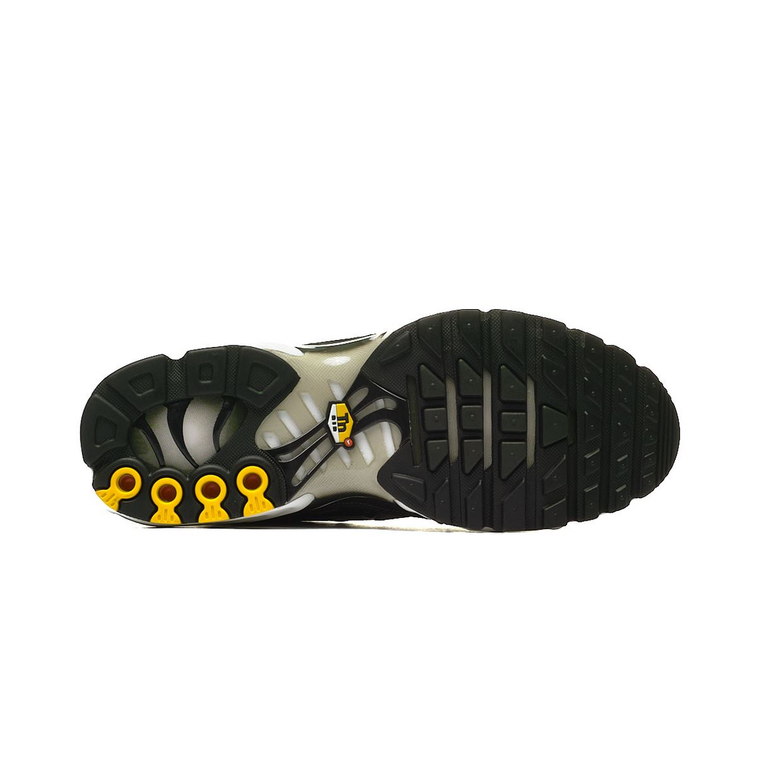 Nike Air Max Plus Sequoia Cargo Khaki DM0032-300