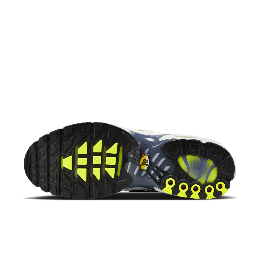 Nike Air Max Plus TN "Pebble Grey Lime" Szare HV6227-001