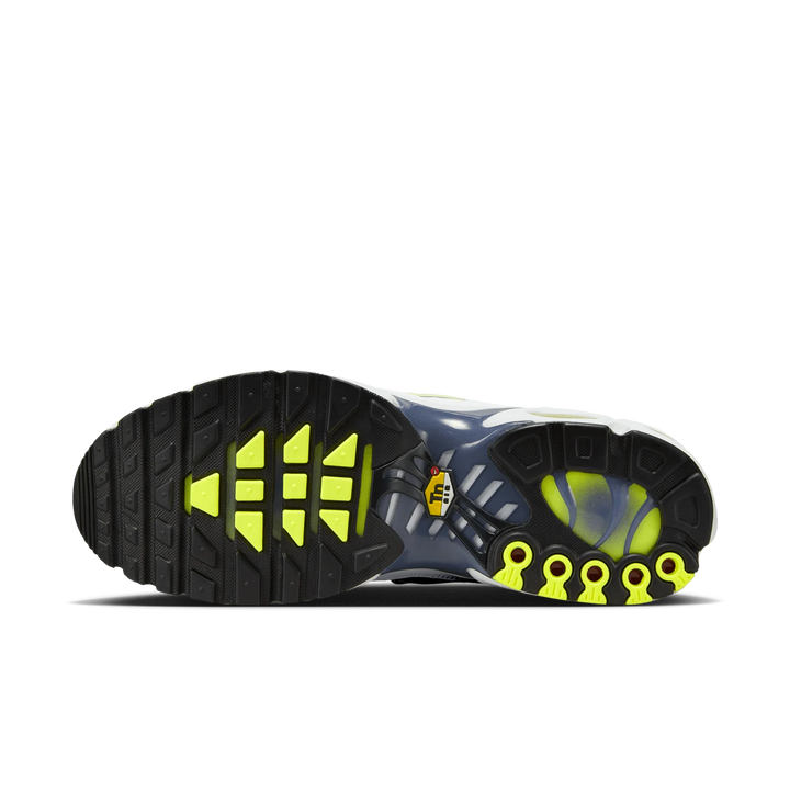 Nike Air Max Plus TN "Pebble Grey Lime" Szare HV6227-001