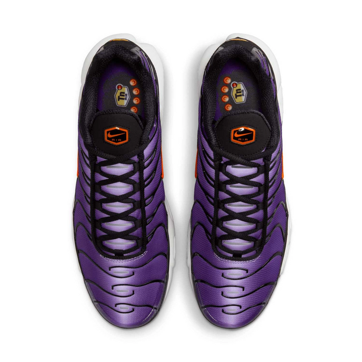 Nike Air Max Plus Voltage Purple DX0755-500