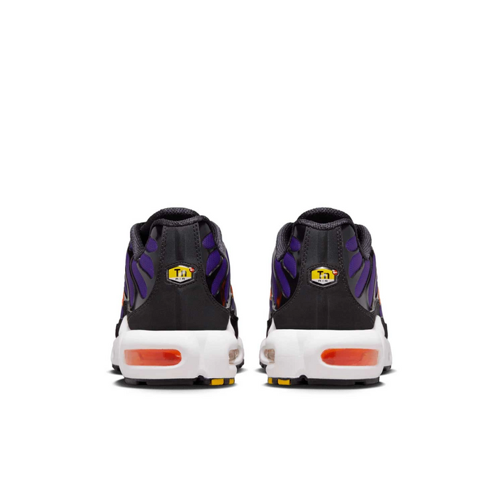 Nike Air Max Plus Voltage Purple DX0755-500