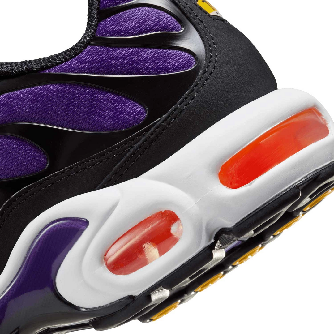 Nike Air Max Plus Voltage Purple DX0755-500