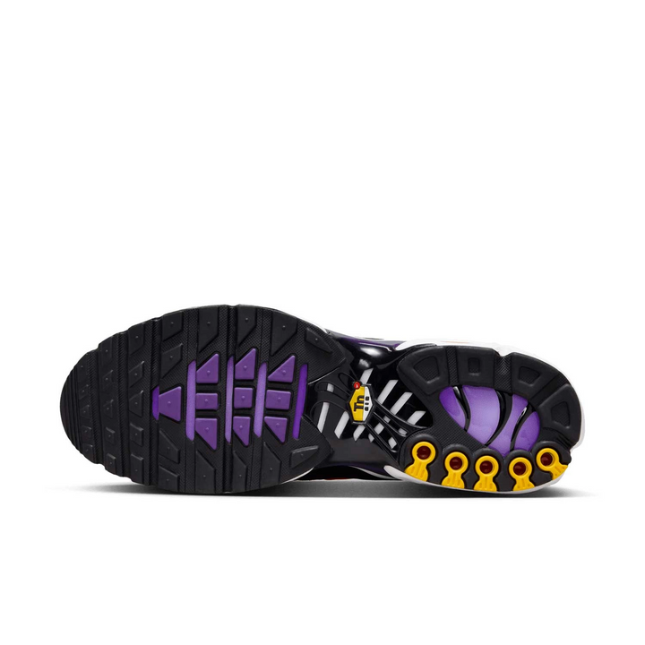 Nike Air Max Plus Voltage Purple DX0755-500